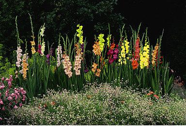 《最终幻想7：重生》新宣传片 尤菲穿泳装性感亮相